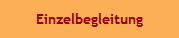 Einzelbegleitung